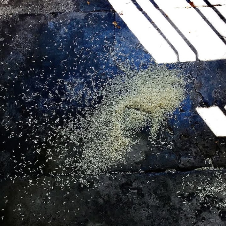 Article sans titre 935