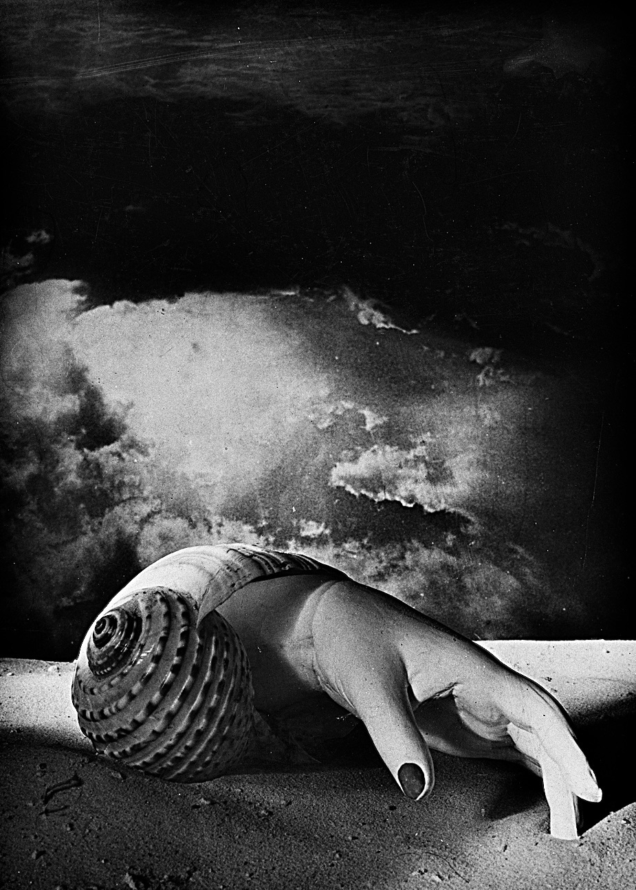 Dora Maar : Raz de&nbsp;marée