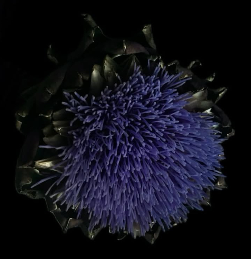 Calembredaines et Bagatelles –&nbsp;Septembre