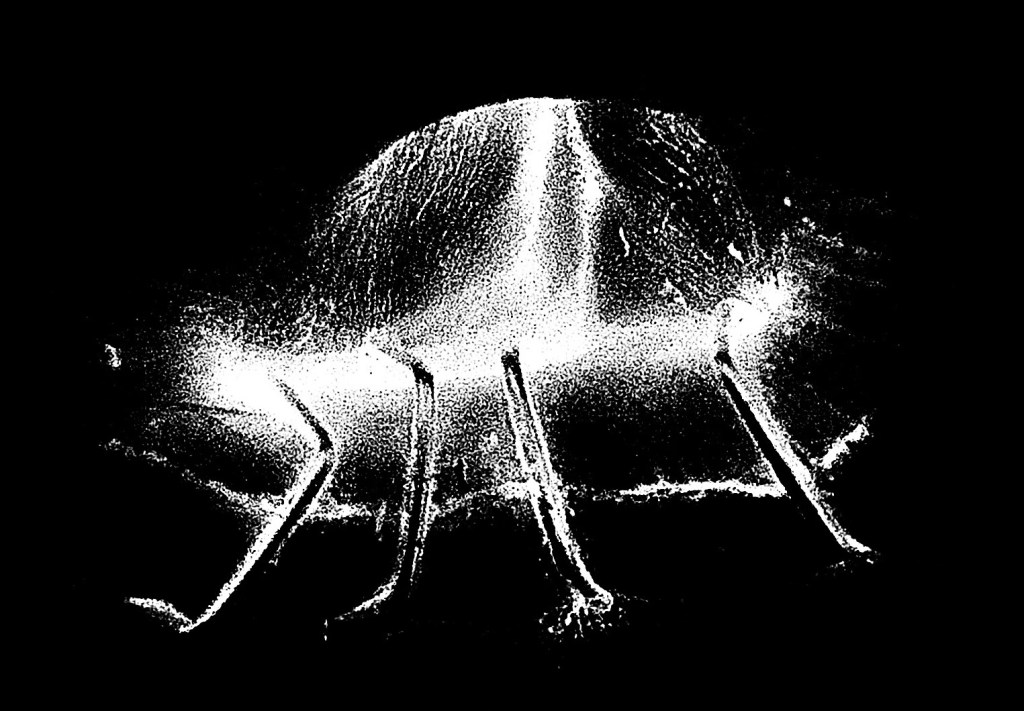 ça fait plus d’un ans que ça fait plus d’un&nbsp;moi