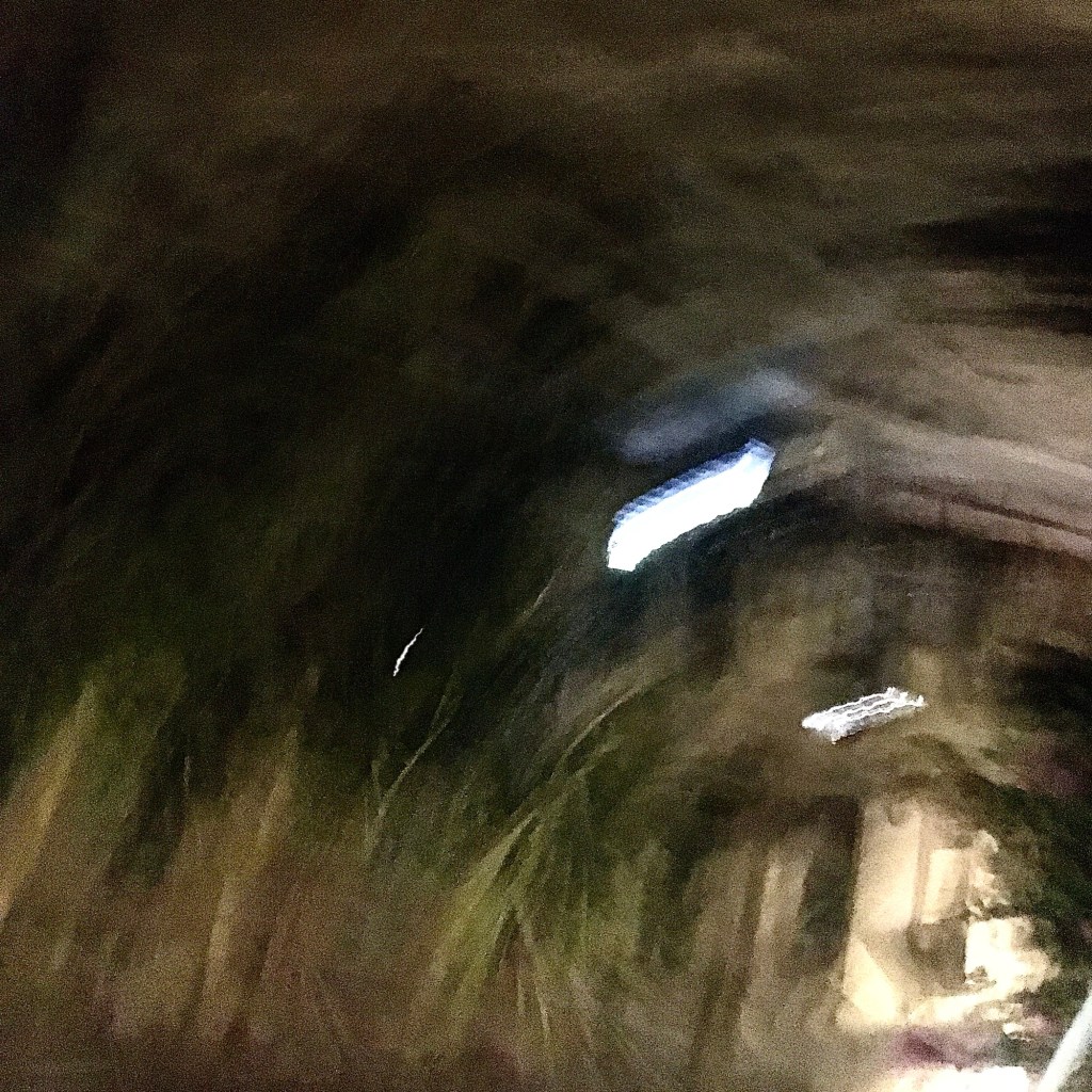 Dans la voix rauque du Soupirail