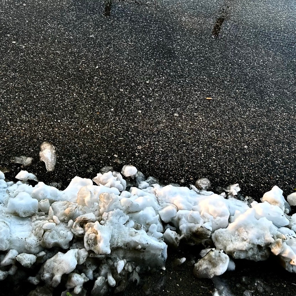 Coquille naquit encore